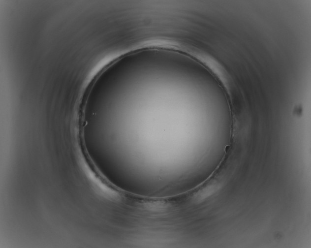 X0000093380999200710111451