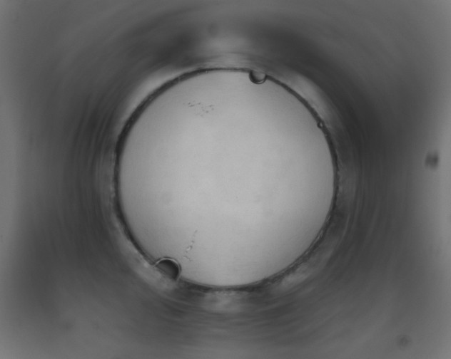 X0000093381000200710111451