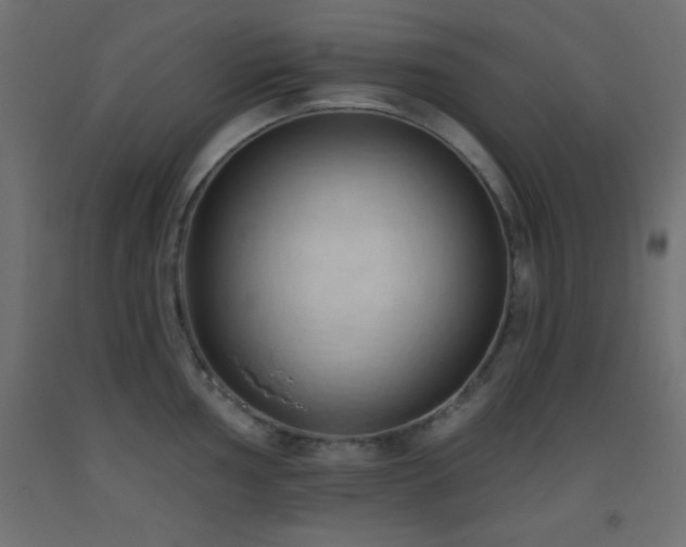 X0000093381002200710111451