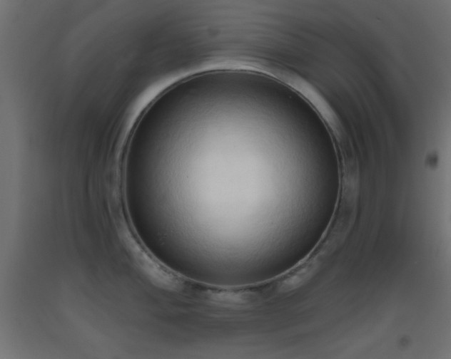 X0000093381004200710111451