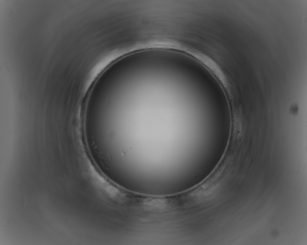 X0000093381006200710111451