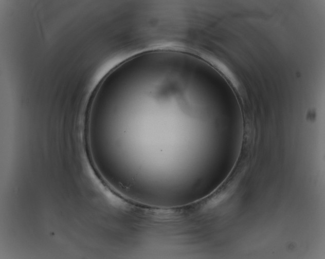 X0000093381007200710111451