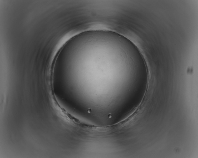 X0000093381008200710111451
