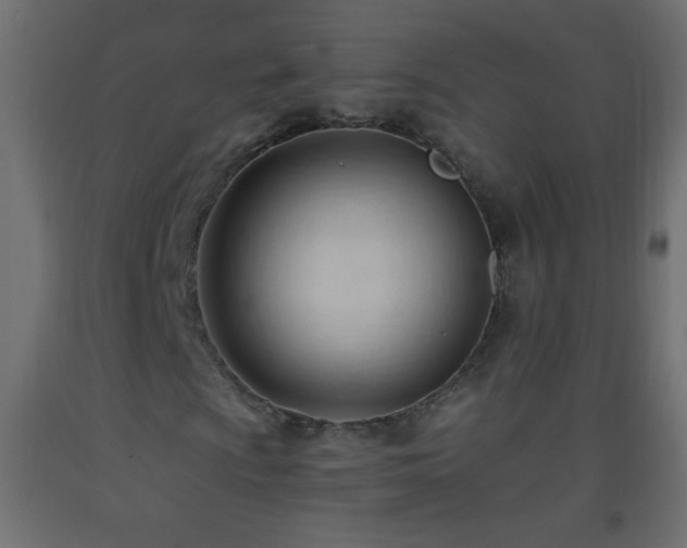 X0000093381009200710111450