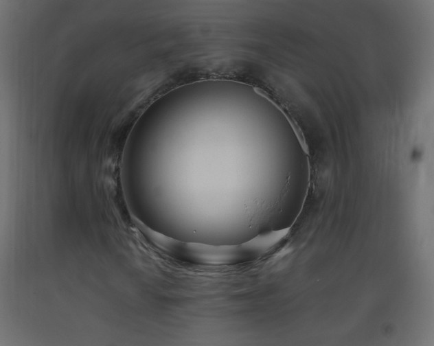 X0000093381010200710111450