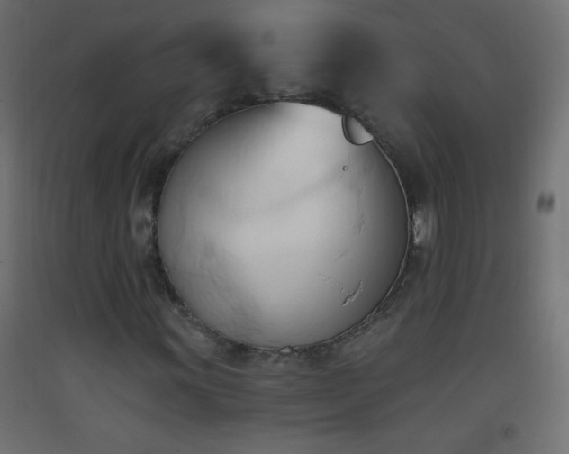 X0000093381011200710111450