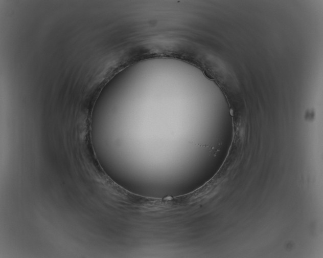 X0000093381012200710111450
