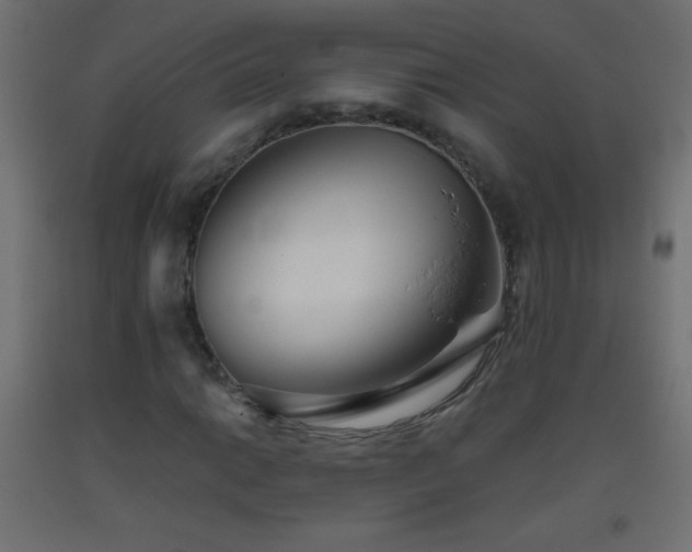 X0000093381014200710111450