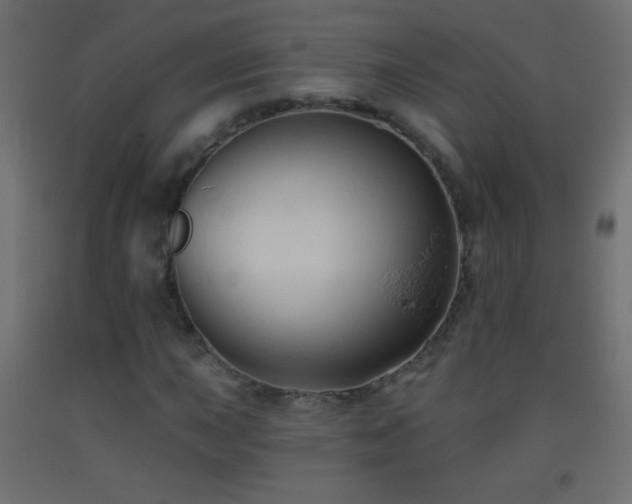 X0000093381015200710111450