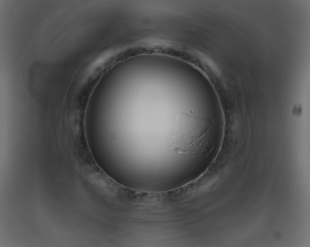 X0000093381016200710111451