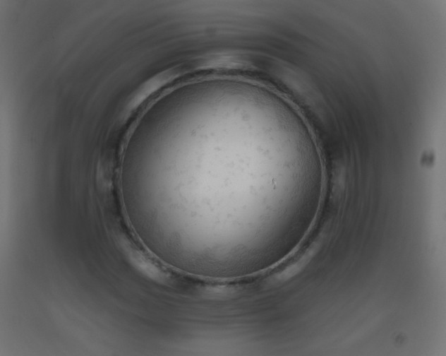 X0000093381017200710111451