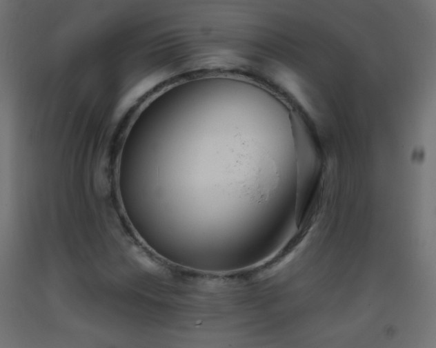 X0000093381018200710111451