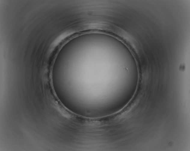X0000093381019200710111451