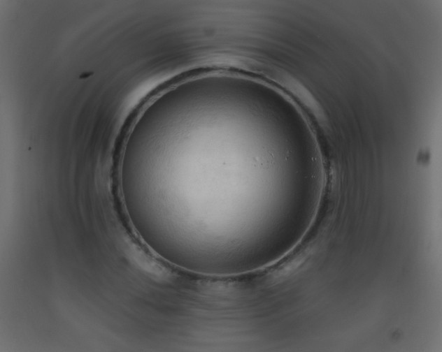 X0000093381020200710111451