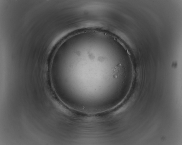 X0000093381021200710111451