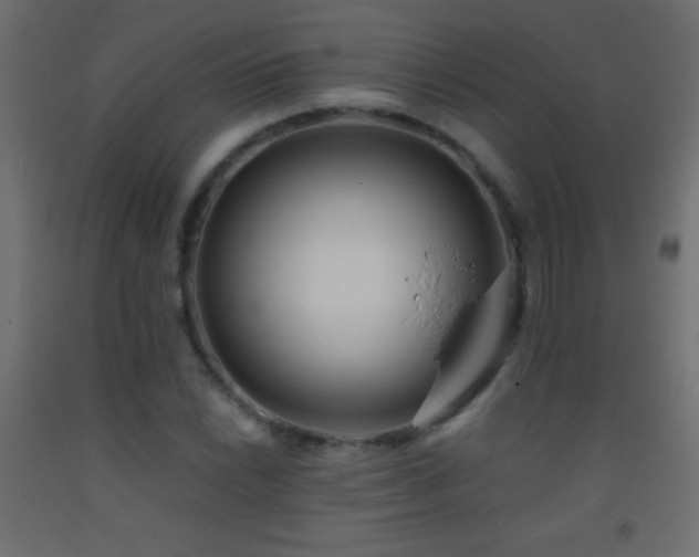 X0000093381022200710111451