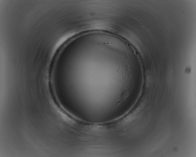 X0000093381024200710111451