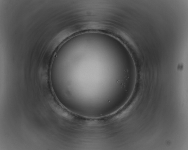 X0000093381025200710111451