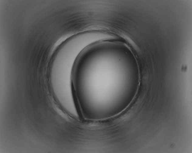 X0000093381026200710111451