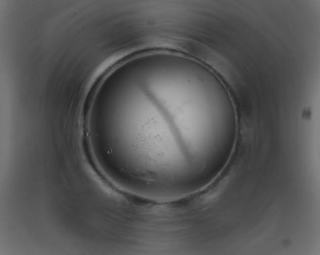 X0000093381028200710111451