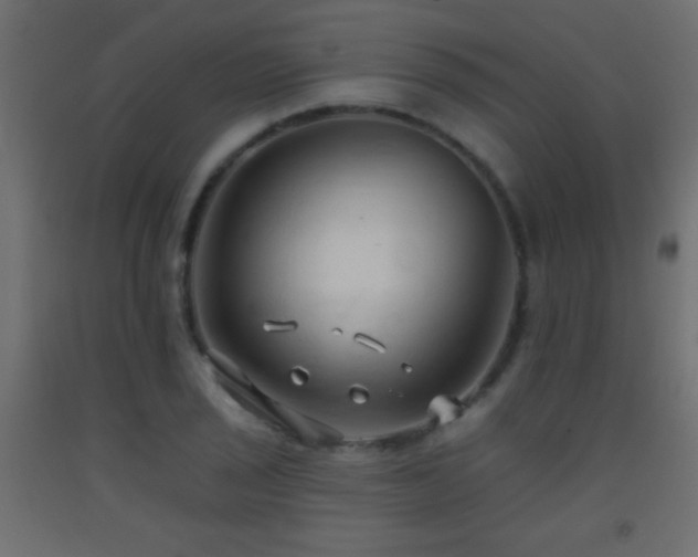 X0000093381029200710111451