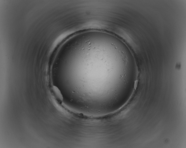 X0000093381030200710111451