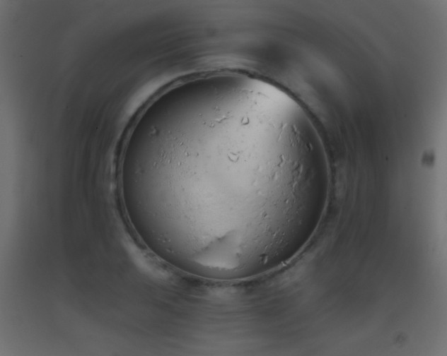 X0000093381031200710111451