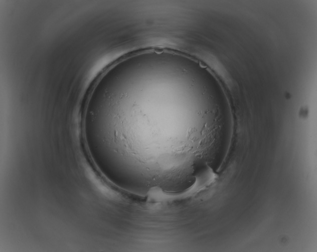 X0000093381032200710111451
