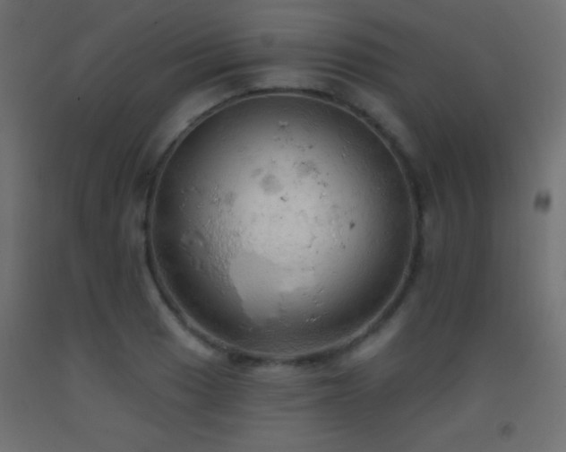 X0000093381033200710111451
