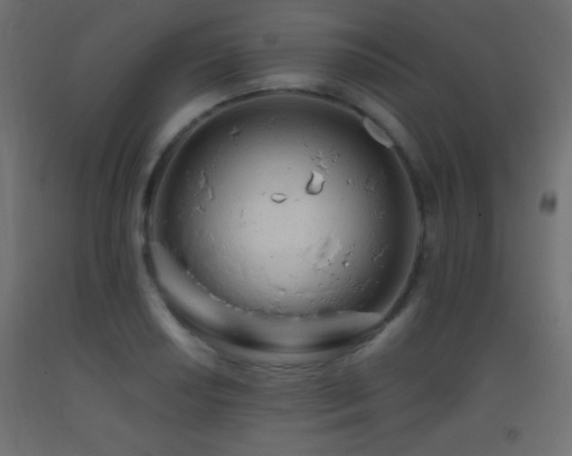 X0000093381034200710111451