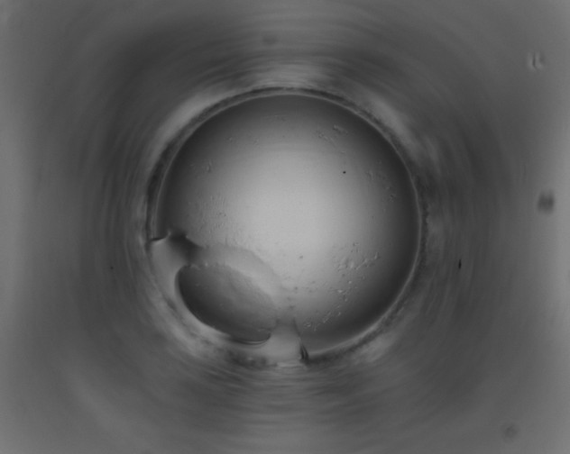 X0000093381035200710111451