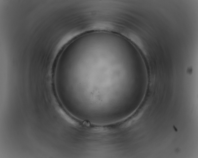 X0000093381037200710111451