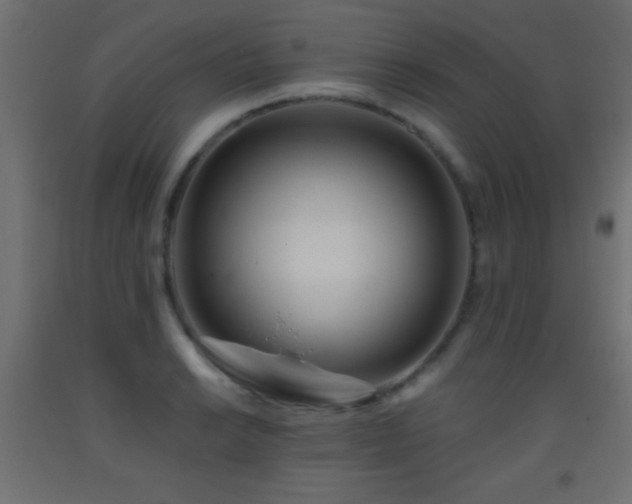 X0000093381038200710111451