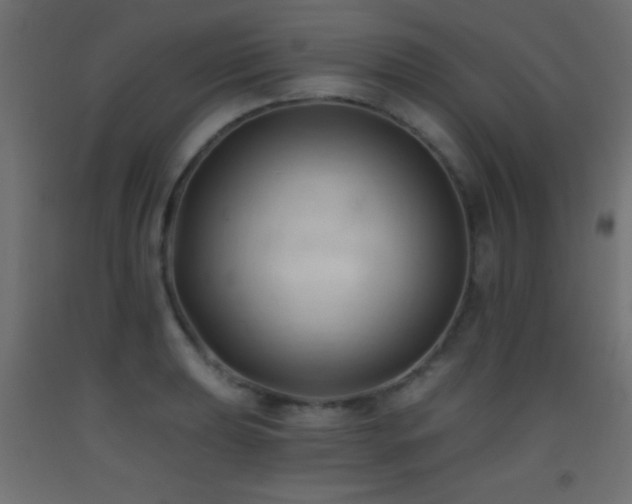 X0000093381039200710111451
