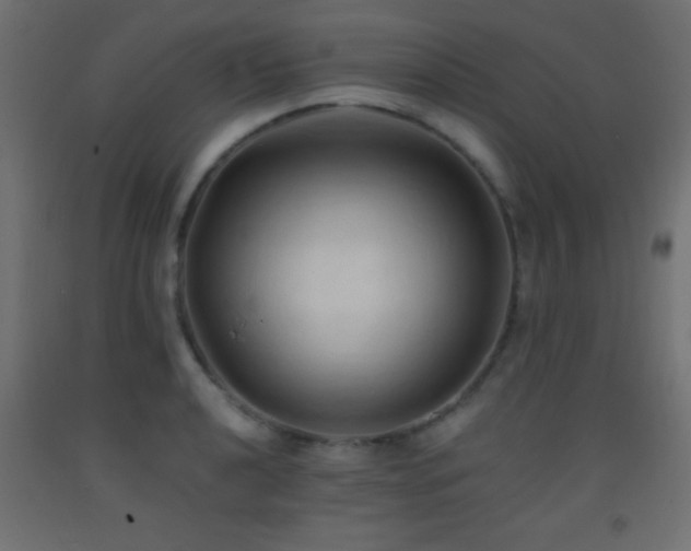 X0000093381040200710111451