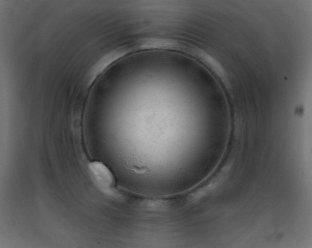 X0000093381041200710111451