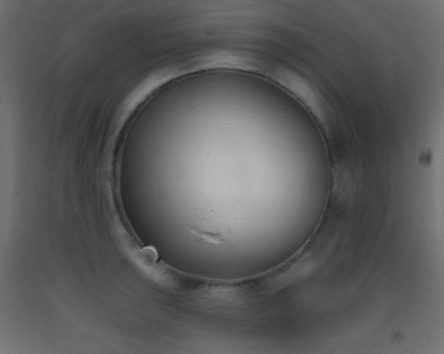 X0000093381043200710111451