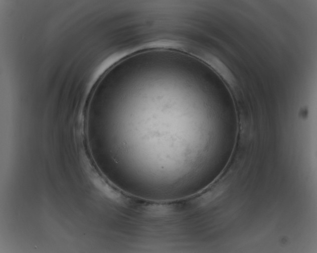 X0000093381044200710111451