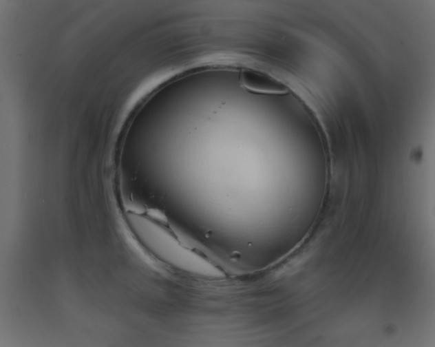 X0000093381045200710111451