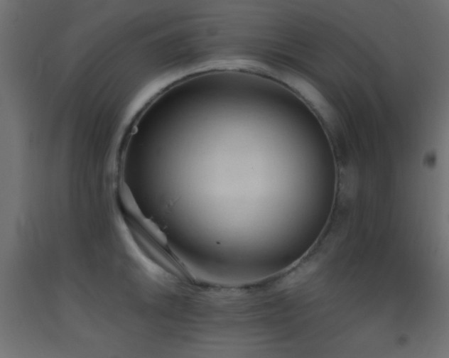 X0000093381046200710111451