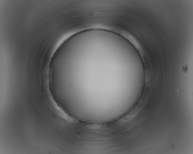 X0000093381048200710111451