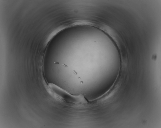 X0000093381049200710111451