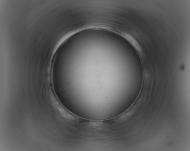 X0000093381052200710111451