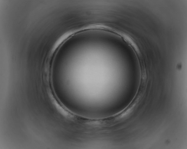 X0000093381054200710111451