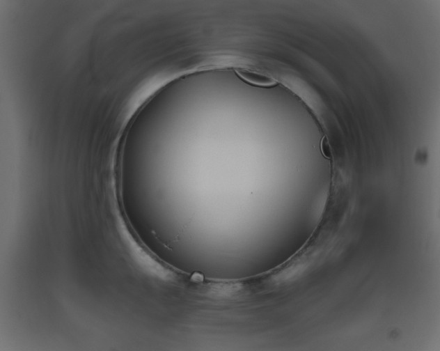 X0000093381055200710111451