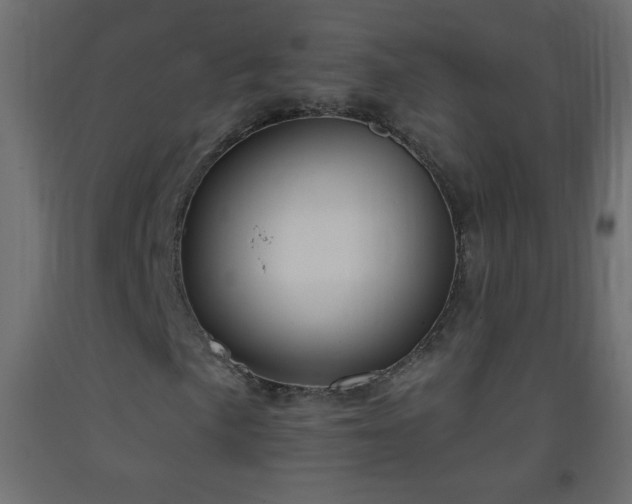 X0000093381057200710111450