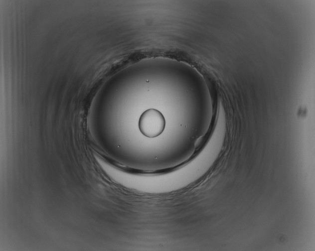 X0000093381059200710111450