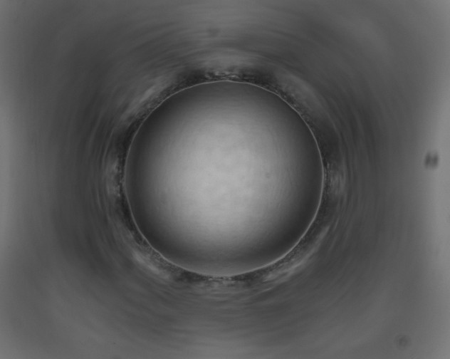 X0000093381060200710111450