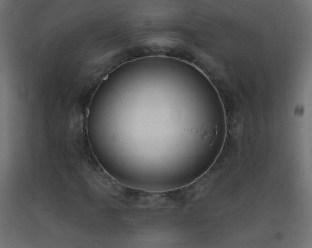X0000093381061200710111450