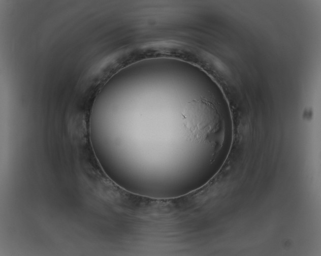 X0000093381062200710111450